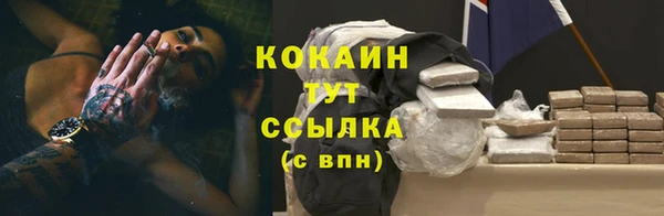 индика Покровск