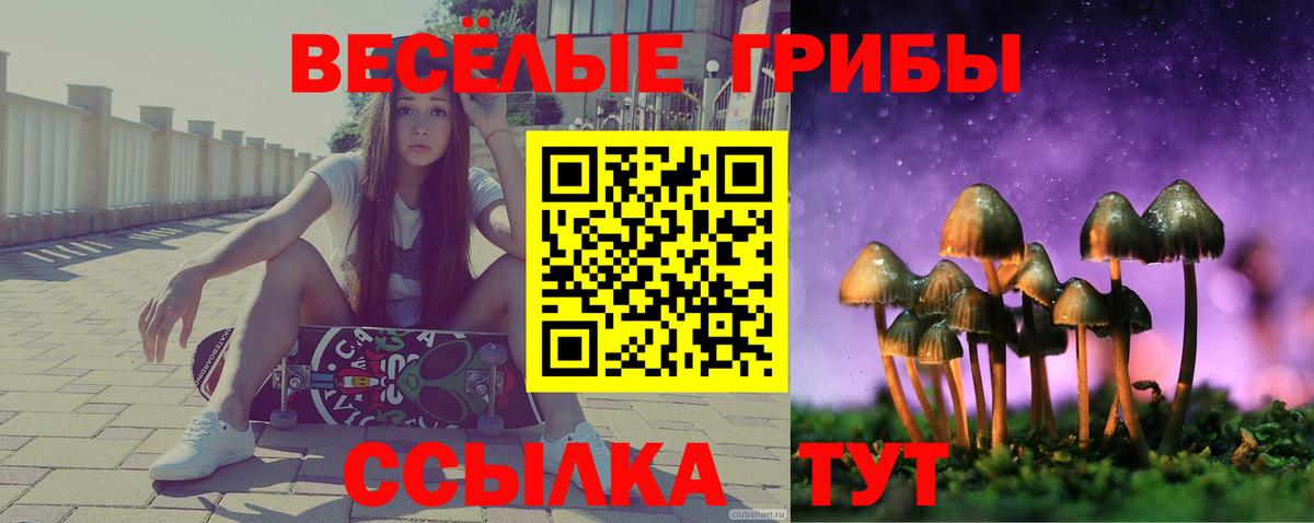 Галлюциногенные грибы мицелий Нарьян-Мар