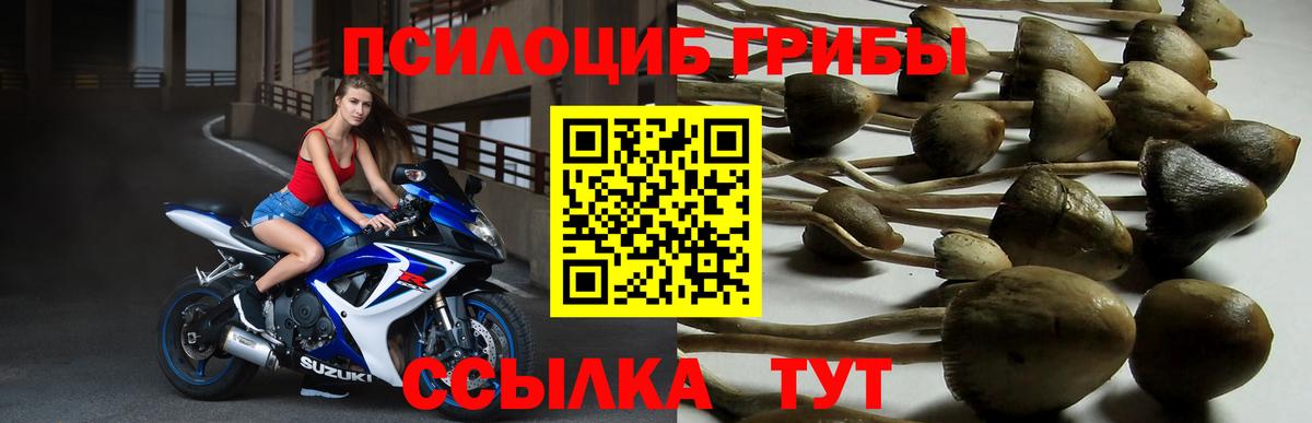 продажа наркотиков  Галлюциногенные грибы ЛСД  Нарьян-Мар  Псилоцибиновые грибы GOLDEN TEACHER 