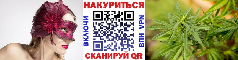 Марихуана планчик  Нарьян-Мар 